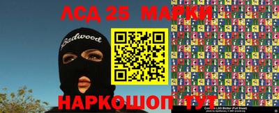 крисы Моздок