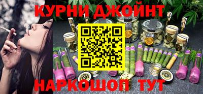 крисы Моздок