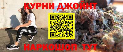 крисы Моздок