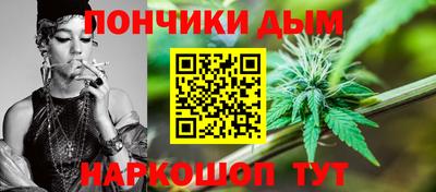 крисы Моздок