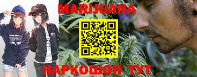 крисы Моздок