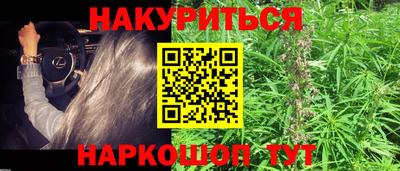 крисы Моздок