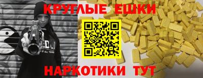 крисы Моздок