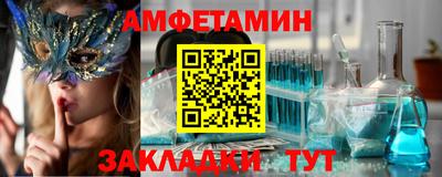 крисы Моздок