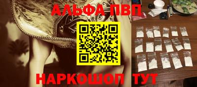 крисы Моздок