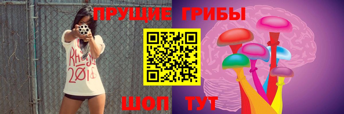 Галлюциногенные грибы мухоморы Губкинский
